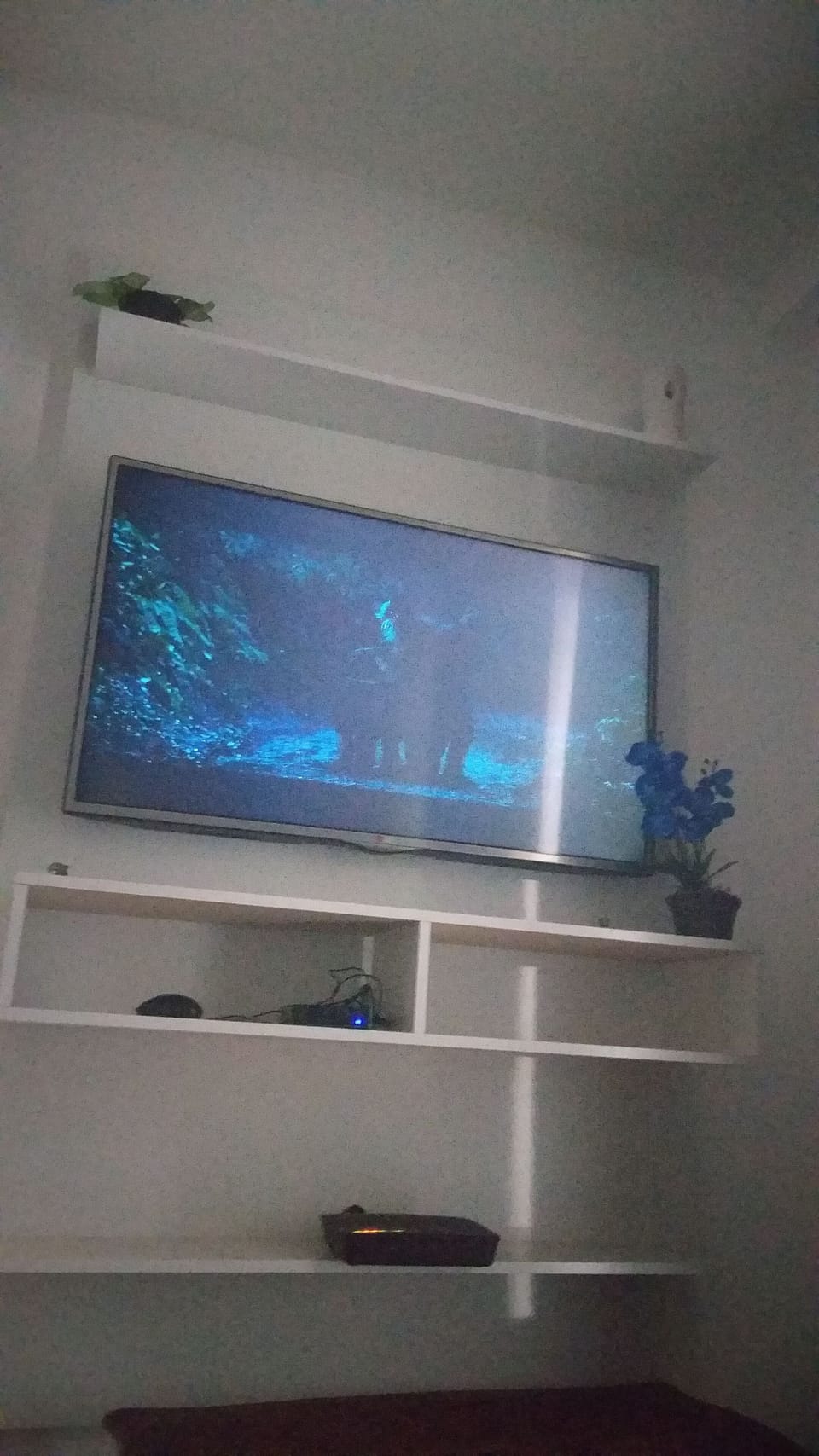 Television