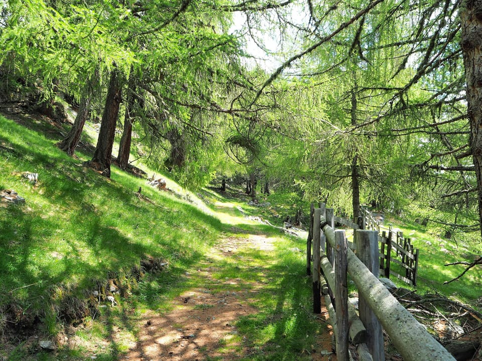 Hiking