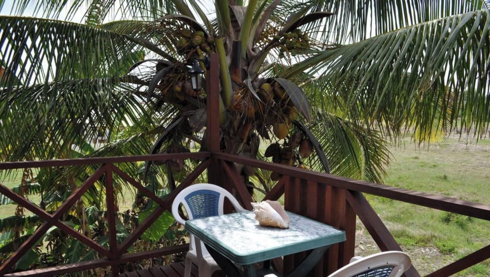White Coconut Studio - Deck & Garden view