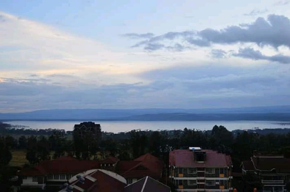 Lake view