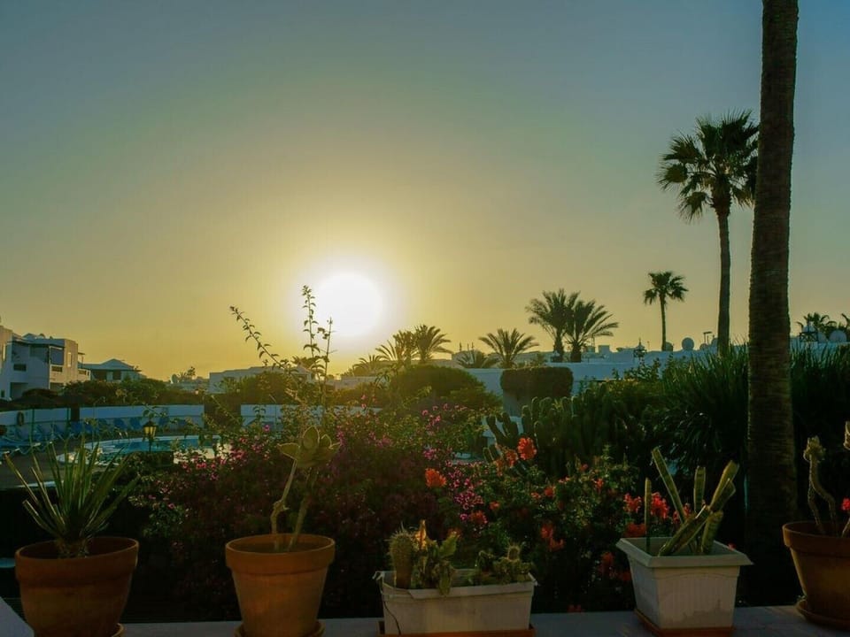 Front Terrace at sunrise