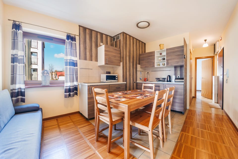 Apartment (49 Helska Villa, Steyera 18) | Private kitchen | Fridge, microwave, stovetop, electric kettle