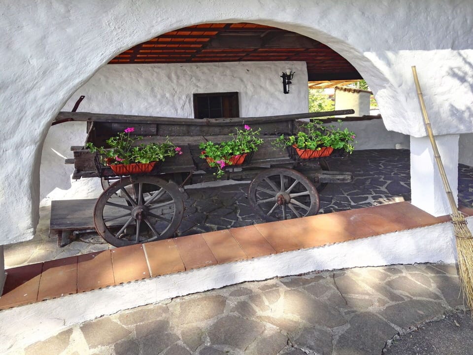 Flower, Wheel, Property, Plant, Rectangle, Wood, Window, Font, Concrete, Building
