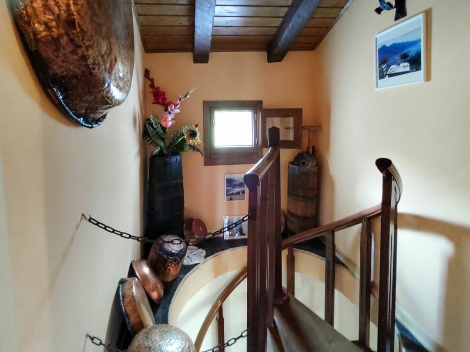 Picture Frame, Property, Wood, Interior Design, Plant, Houseplant, Floor, Real Estate, Hardwood, Building