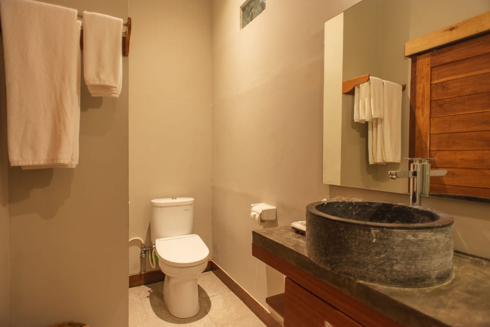 Panoramic Double or Twin Room | Bathroom | Shower, rainfall showerhead, free toiletries, hair dryer