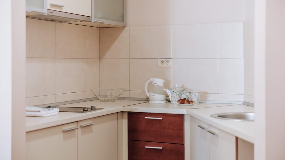 Comfort Apartment | Private kitchen | Mini-fridge, stovetop, electric kettle, cookware/dishes/utensils