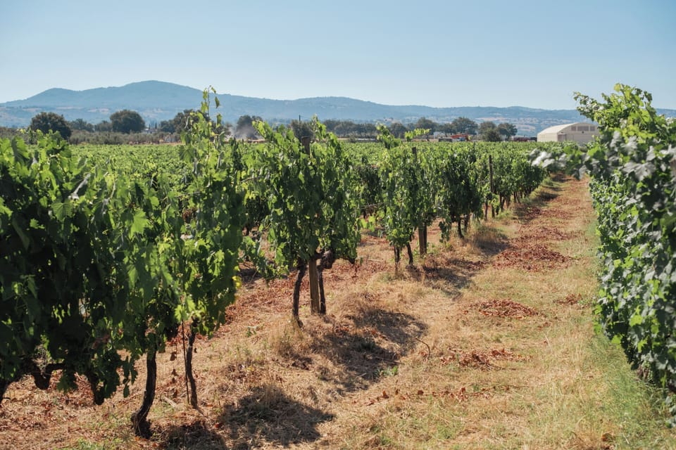 Winery