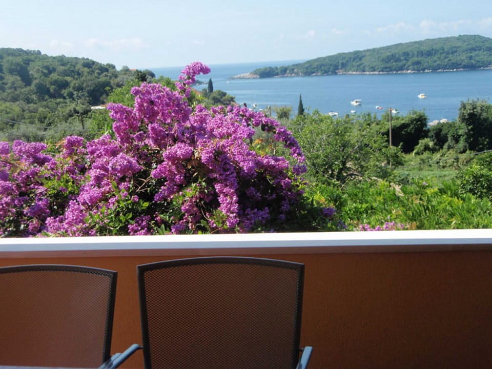Apartment (One Bedroom Apartment with Terrace) | Terrace/patio