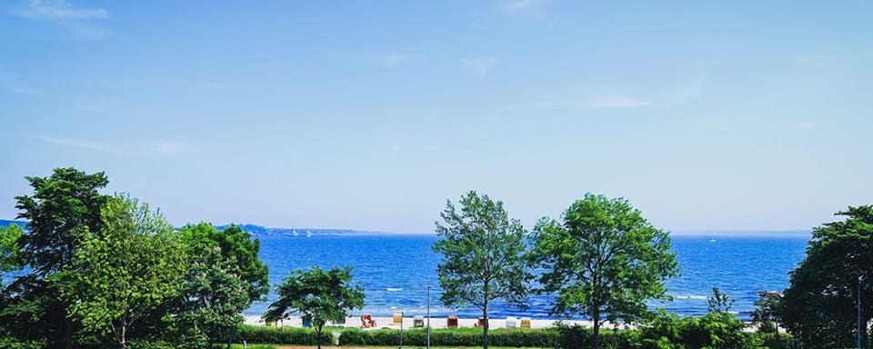Lake view