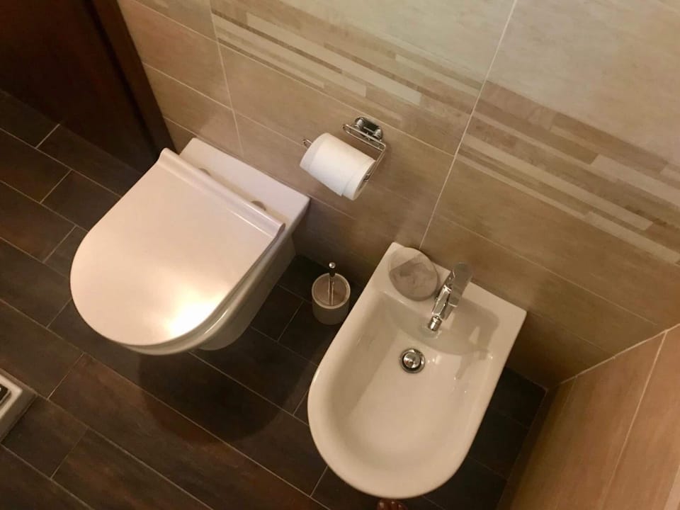 Shower, rainfall showerhead, hair dryer, bidet