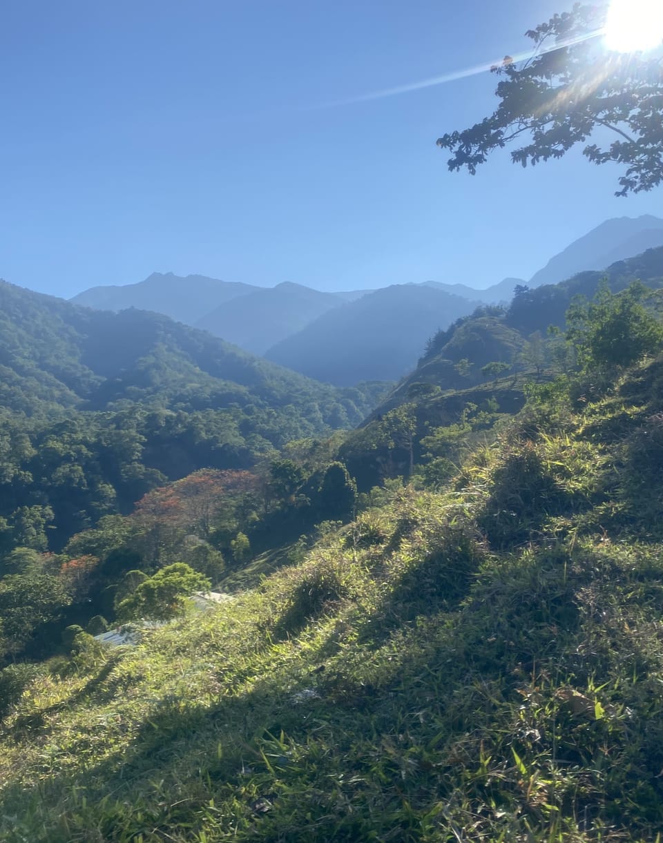Hiking