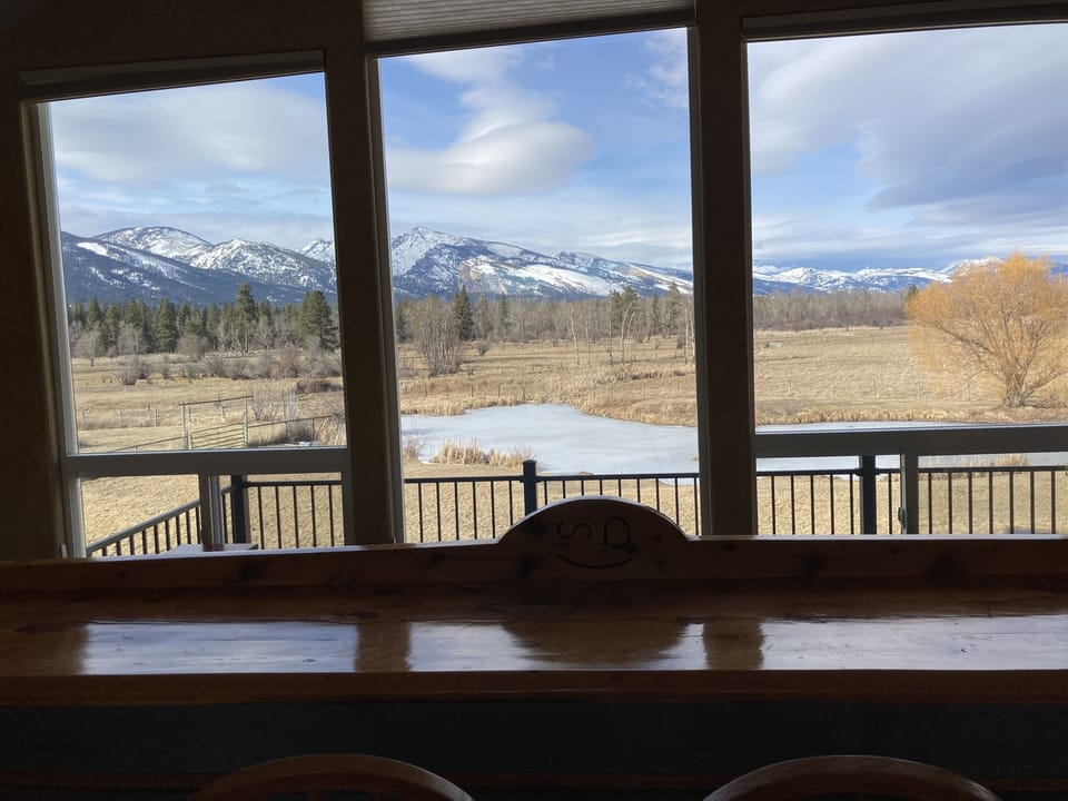 View from fun room   