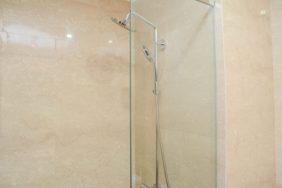 Shower, towels, toilet paper