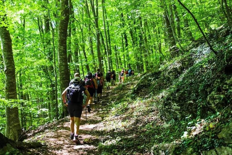 Hiking