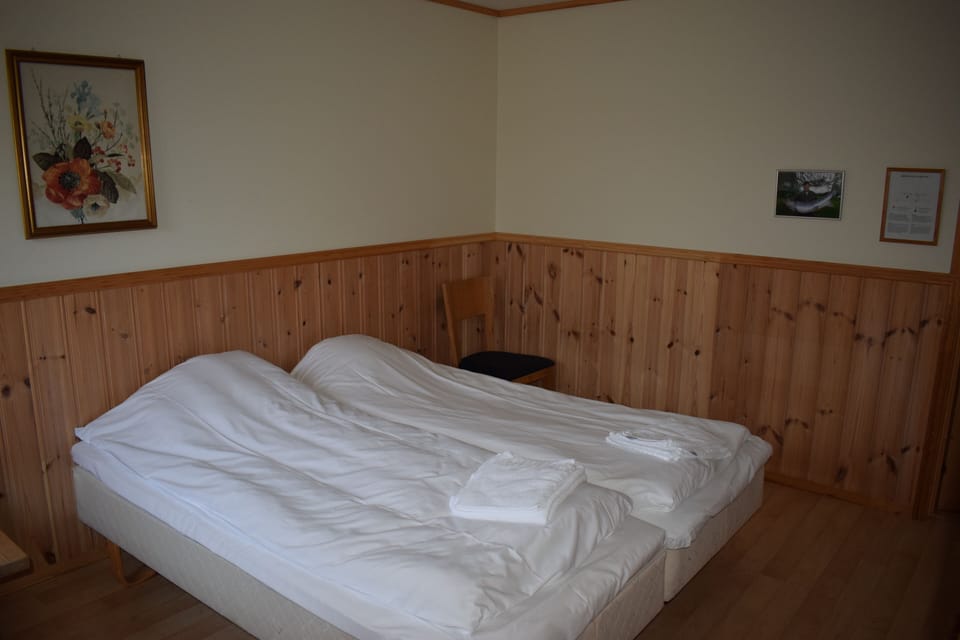 Double Room (Large) | Desk, blackout drapes, free WiFi, bed sheets