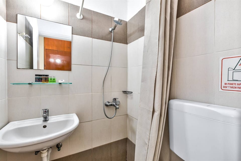 Standard Double or Twin Room | Bathroom | Free toiletries, hair dryer, bidet