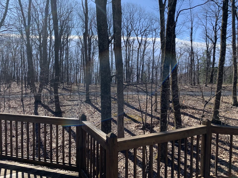 Trail yards from the Blue Ridge Parkway and Appalachian trail
