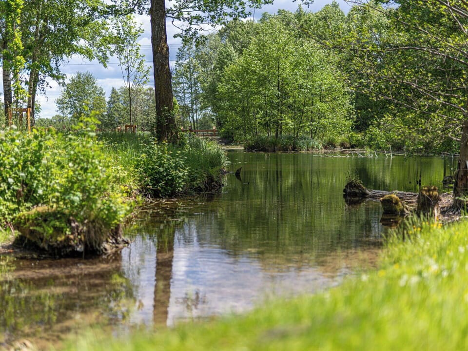 Water, Water Resources, Green, Body Of Water, Tree, Nature, Natural Environment, Natural Landscape, Leaf