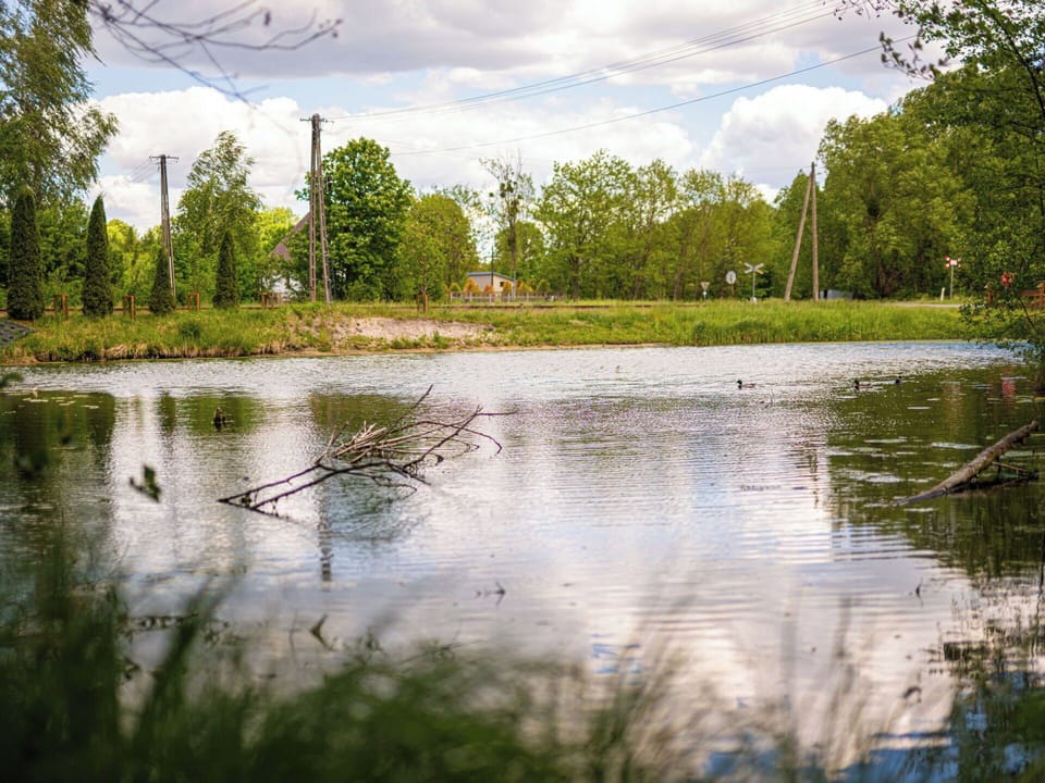 Water, Water Resources, Green, Body Of Water, Nature, Tree, Natural Environment, Natural Landscape, Vegetation