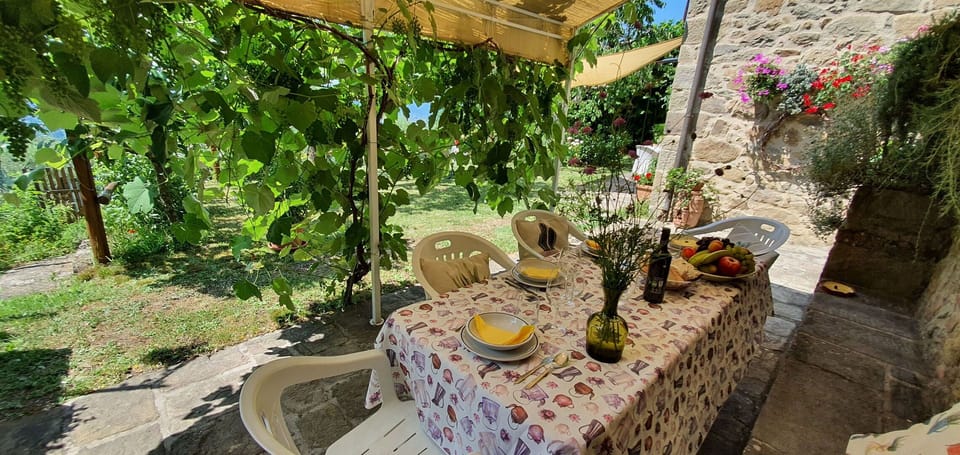 Plant, Property, Table, Botany, Nature, Flower, Landscape, Chair, Outdoor Furniture, Terrestrial Plant