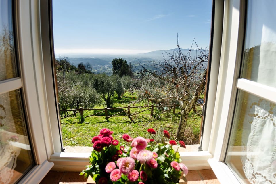 Scenic View
