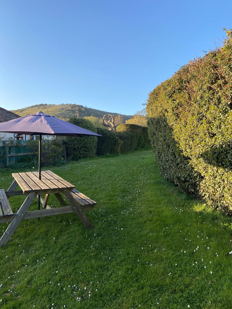 Private garden with seating