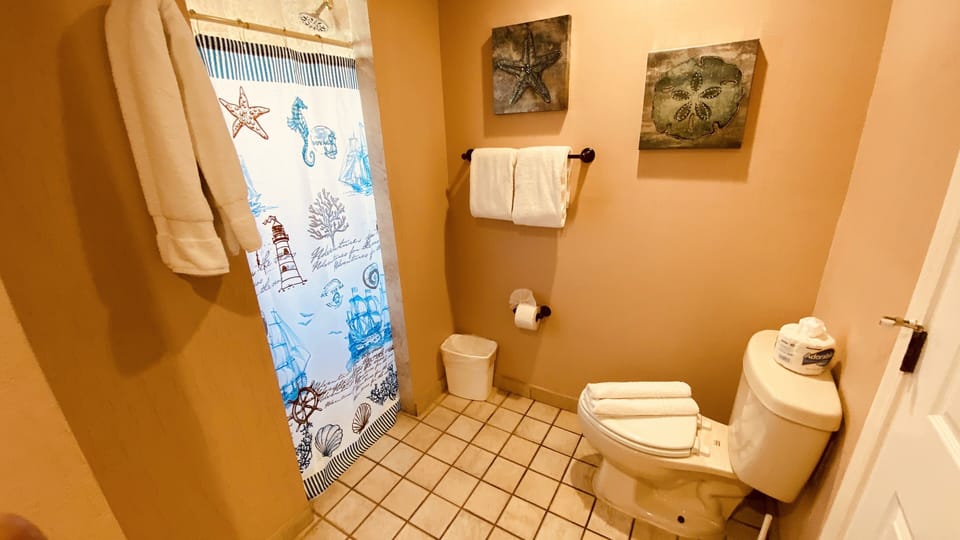 Guest Bath 1