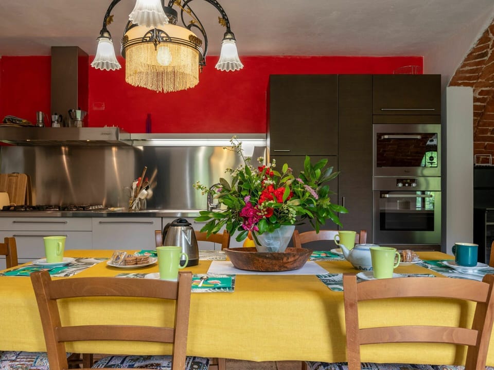 Flower, Cabinetry, Property, Furniture, Countertop, Table, Flowerpot, Plant, Lighting, Orange