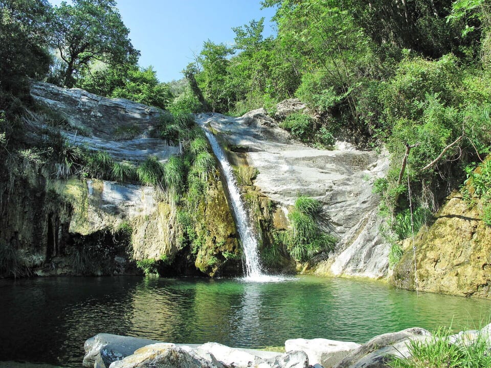 Water, Sky, Cloud, Water Resources, Azure, Tree, Natural Landscape, Beach, Coastal And Oceanic Landforms, Plant