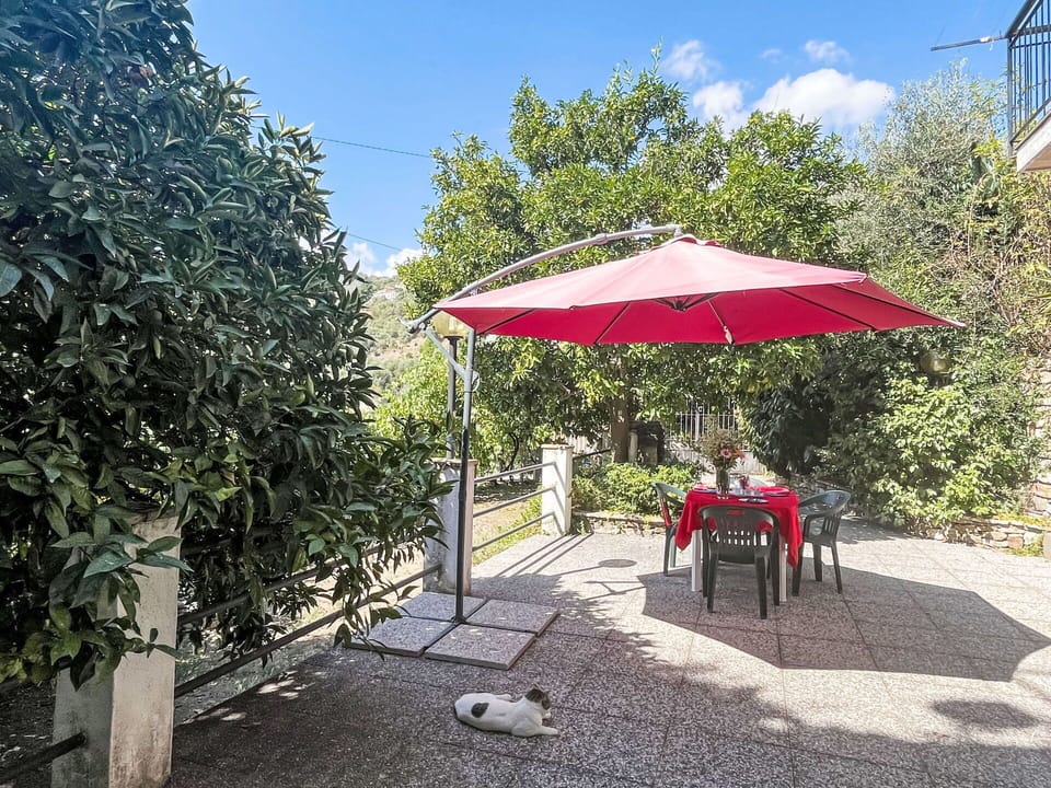 Sky, Plant, Cloud, Umbrella, Shade, Table, Outdoor Furniture, Tree, Tent, Building