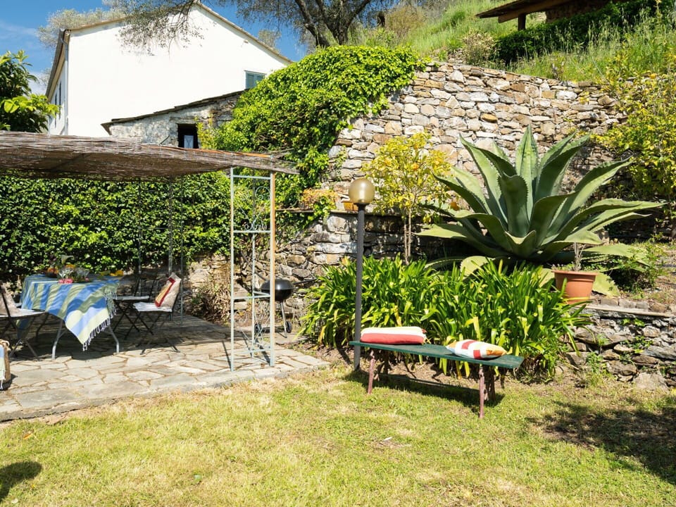 Furniture, Shrub, Garden, Outdoor Furniture, Chair, Groundcover, Backyard, Shade, Landscaping