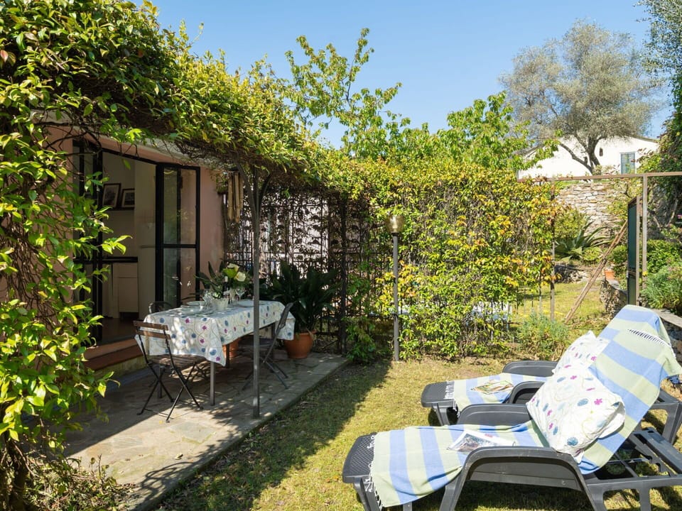 Plant, Sky, Property, Furniture, Plant Community, Building, Chair, Shade, Window, Outdoor Furniture