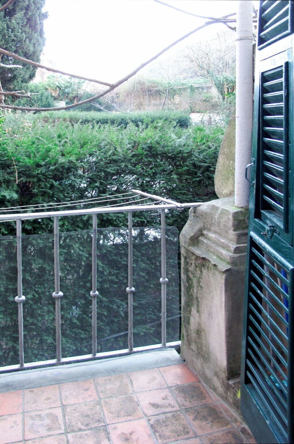Plant, Building, Shade, Wood, Fence, Facade, Glass, Tree, Handrail, Metal