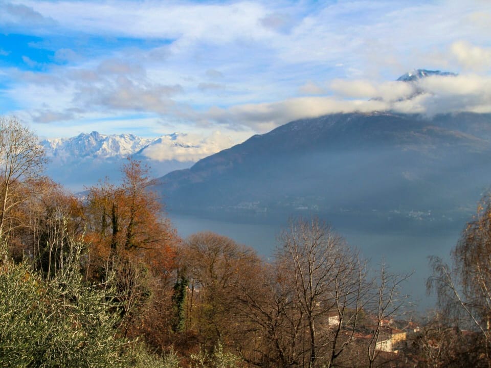 Cloud, Sky, Atmosphere, Mountain, Ecoregion, Natural Landscape, Branch, Tree, Wood, Vegetation