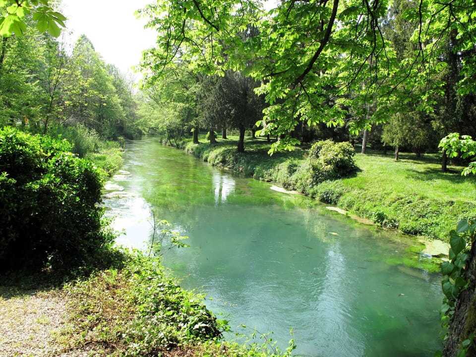 Water, Plant, Plant Community, Green, Natural Landscape, Natural Environment, Tree, Lake, Sunlight