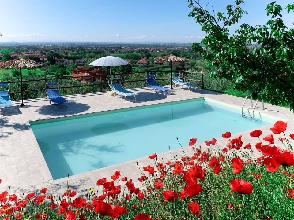 Water, Flower, Plant, Sky, Property, Nature, Azure, Swimming Pool, Tree, Petal