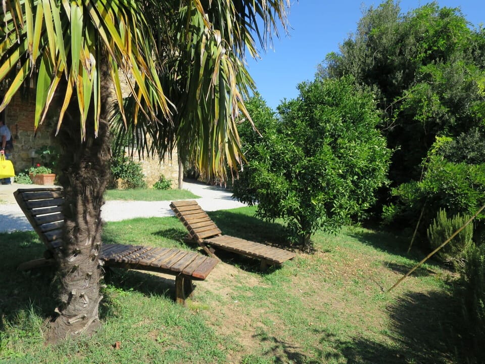 Plant, Property, Plant Community, Sky, Natural Landscape, Shade, Arecales, Land Lot, Tree, Woody Plant