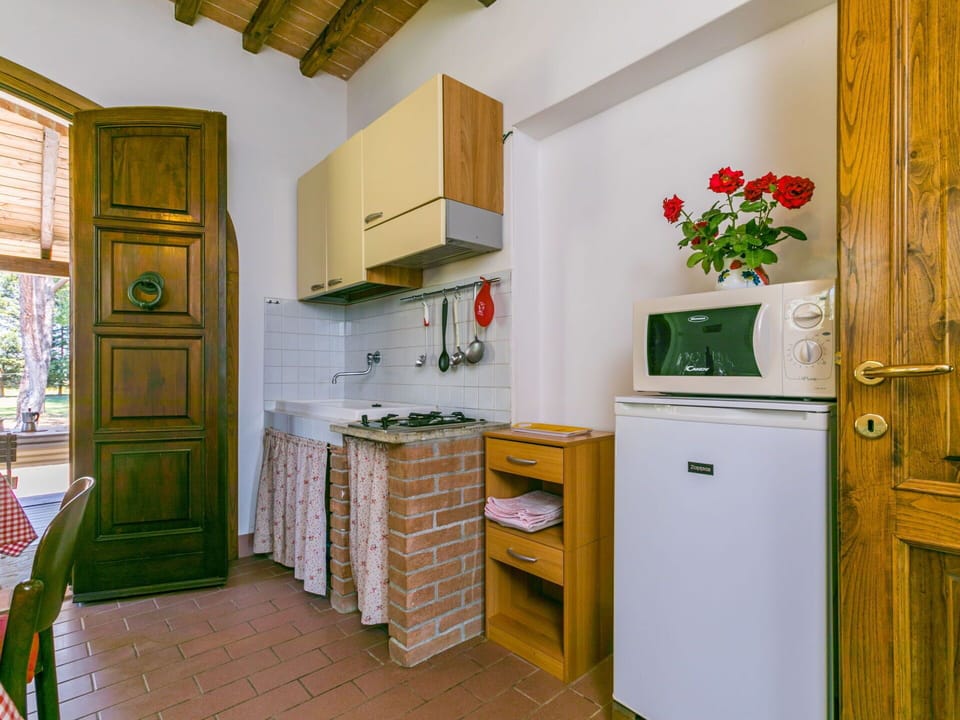 Cabinetry, Property, Building, Kitchen Appliance, Kitchen, Home Appliance, Window, Plant, Countertop, Wood