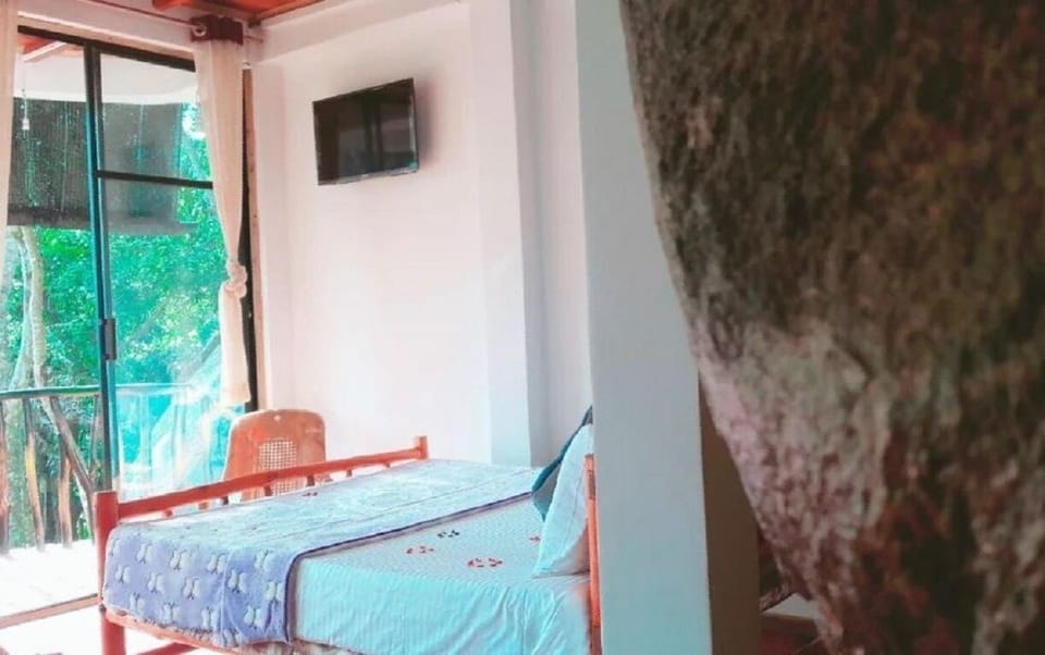 Iron/ironing board (on request), WiFi (free), bed sheets