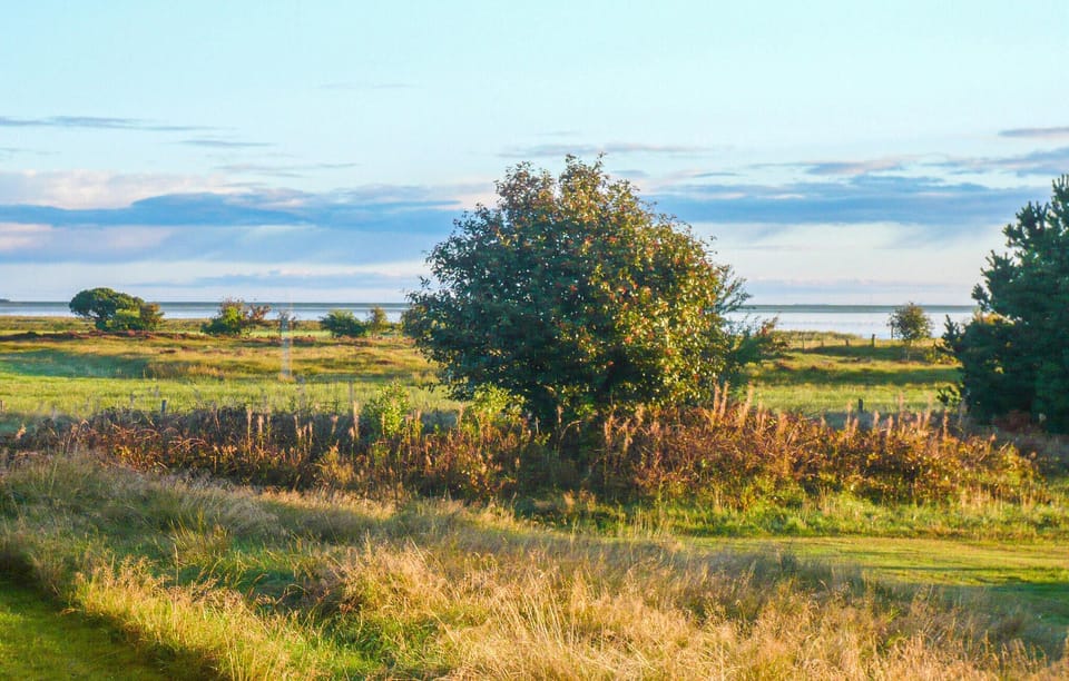 area