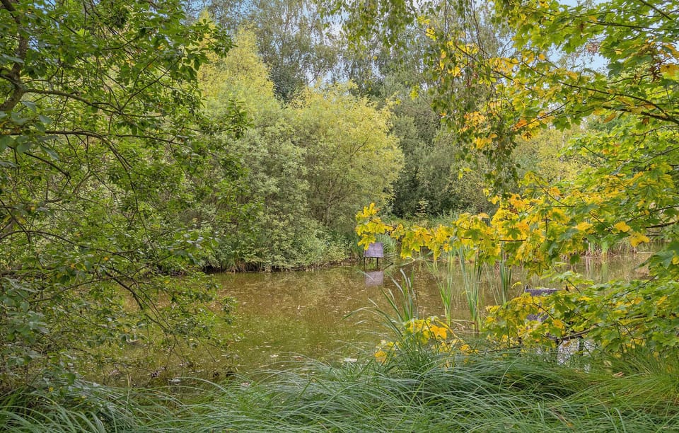 area