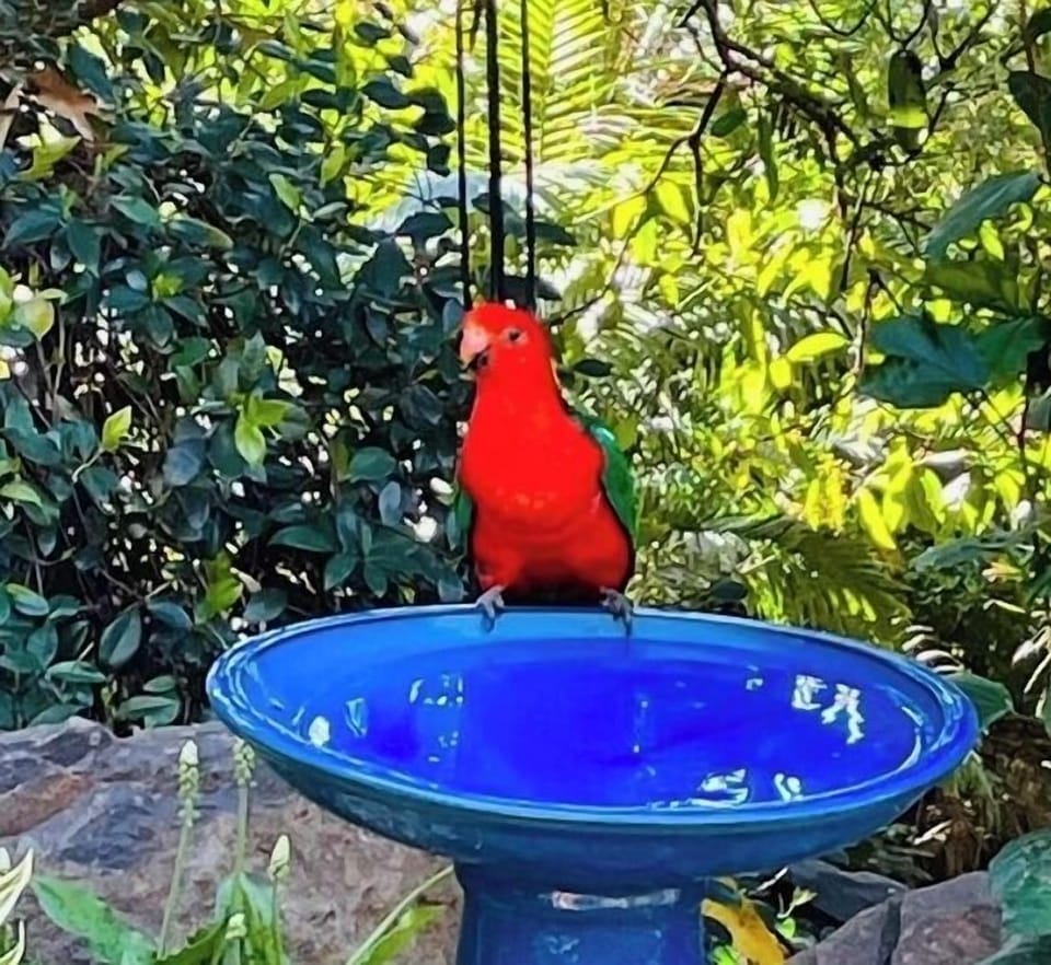 Wildlife