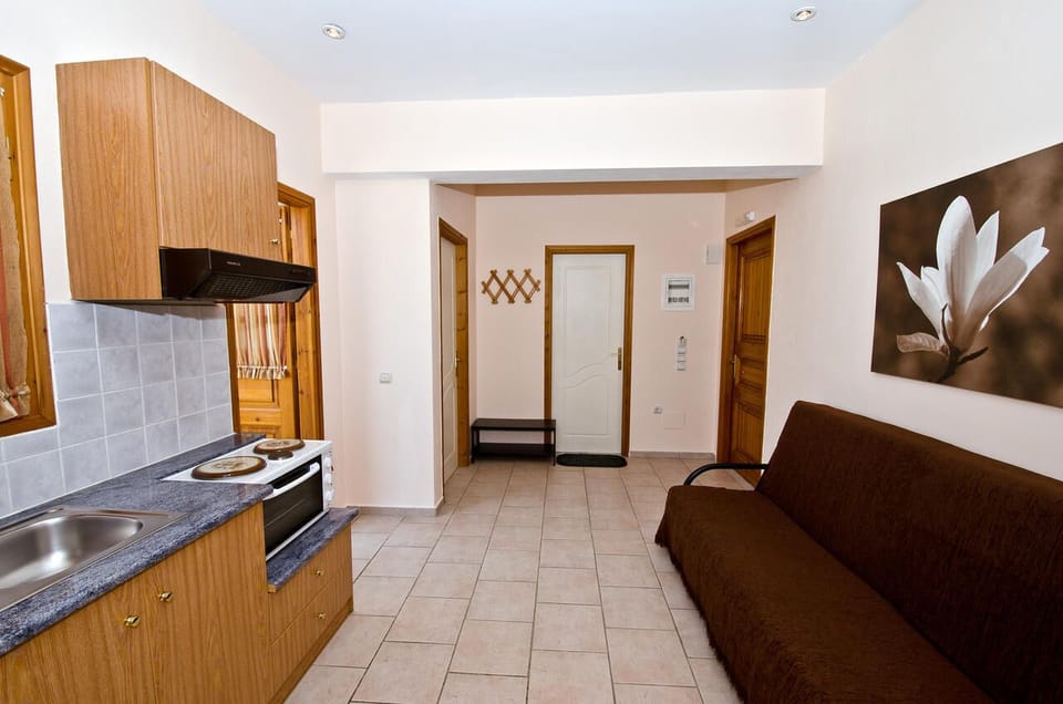 Basic Apartment | Living area | Flat-screen TV