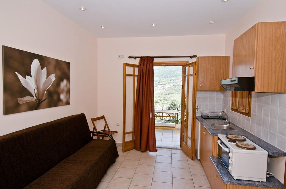 Basic Apartment | Private kitchenette | Fridge, oven, stovetop, coffee/tea maker