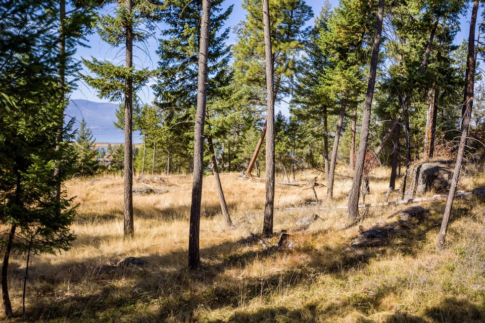 Lake days! | Exterior