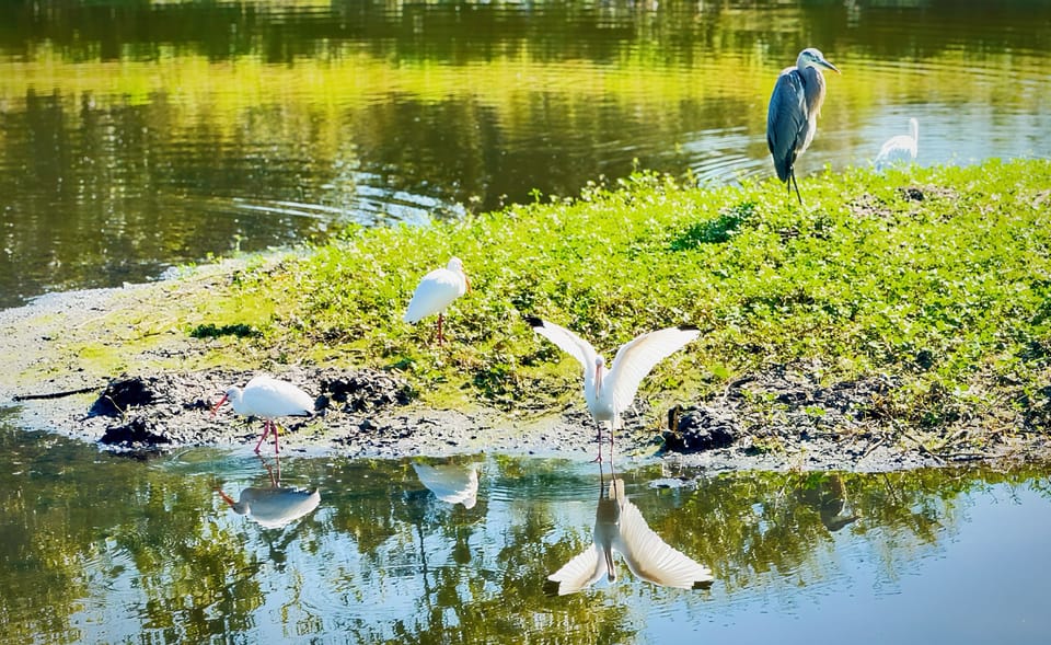 Nature is part of the experience at Casa Artista. 