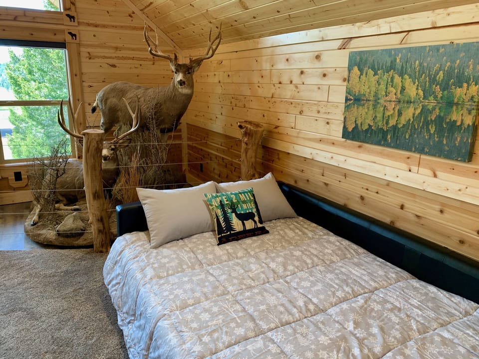 The sofa bed turns into a full-size bed. Sheets, blankets and pillows provided. 