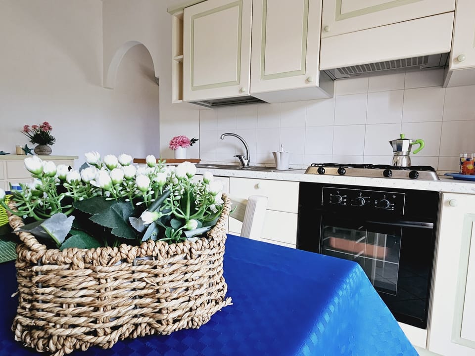 Comfort Apartment, 1 Bedroom, Balcony | Private kitchen | Full-size fridge, stovetop, cookware/dishes/utensils, freezer