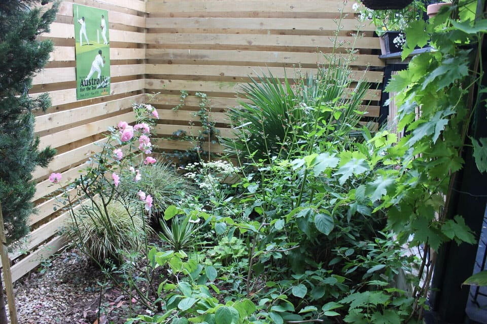 The garden