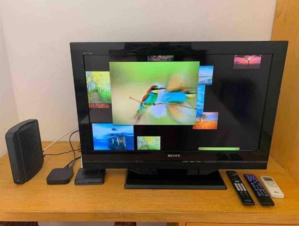Television